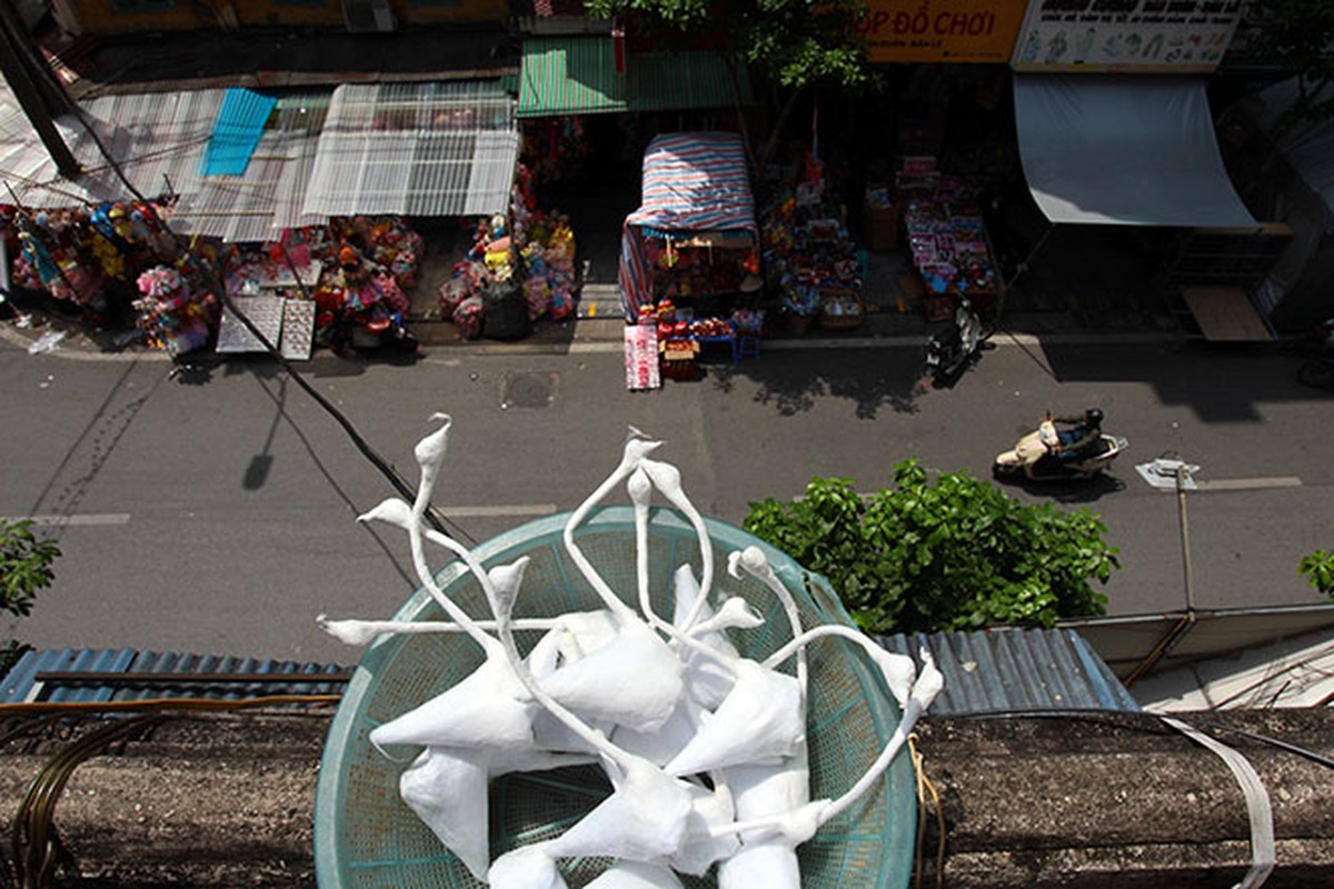 Gia dinh 70 nam “nuoi” thien nga bong giua long Ha Noi-Hinh-10